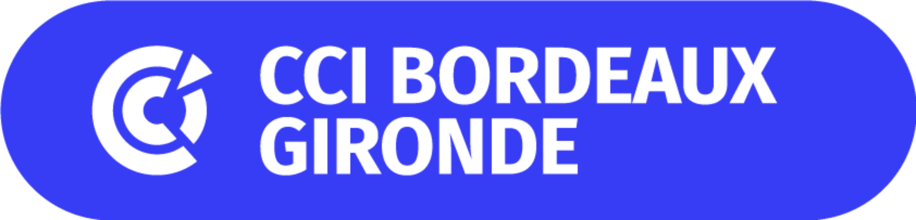 logo CCI Bordeaux